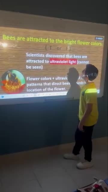 Grade 4 External structure and function of  plants SY 2024-2025 (September 16, 2024)  