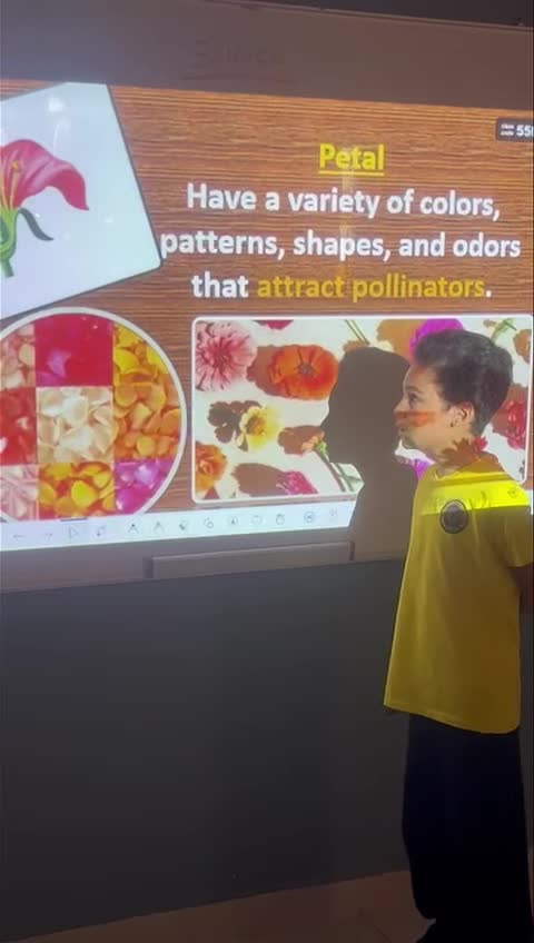 Grade 4 External structure and function of  plants SY 2024-2025 (September 16, 2024)  