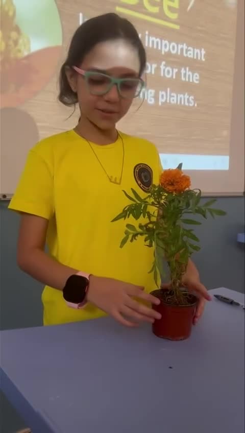 Grade 4 External structure and function of  plants SY 2024-2025 (September 16, 2024)  