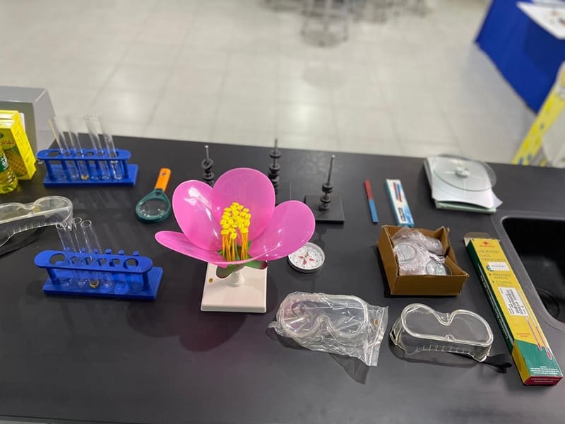 LFIS (EGYPTIAN SECTION) SCIENCE DAY SY 2024-2025 (December 10, 2024)