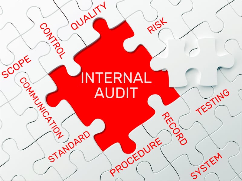 INTERNÍ AUDIT
