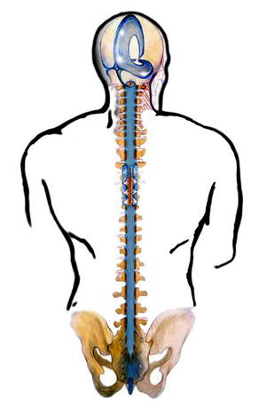 Terapia craniosacrala si procesul de autovindecare + video