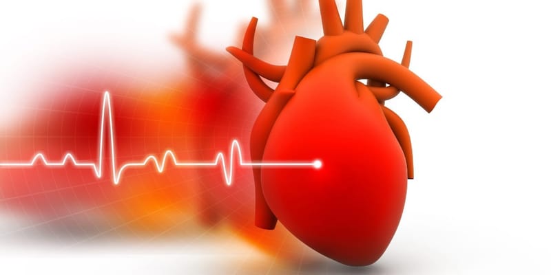 Evaluating Shilajit's Role in Enhancing Circulation and Heart Health: Research Insights