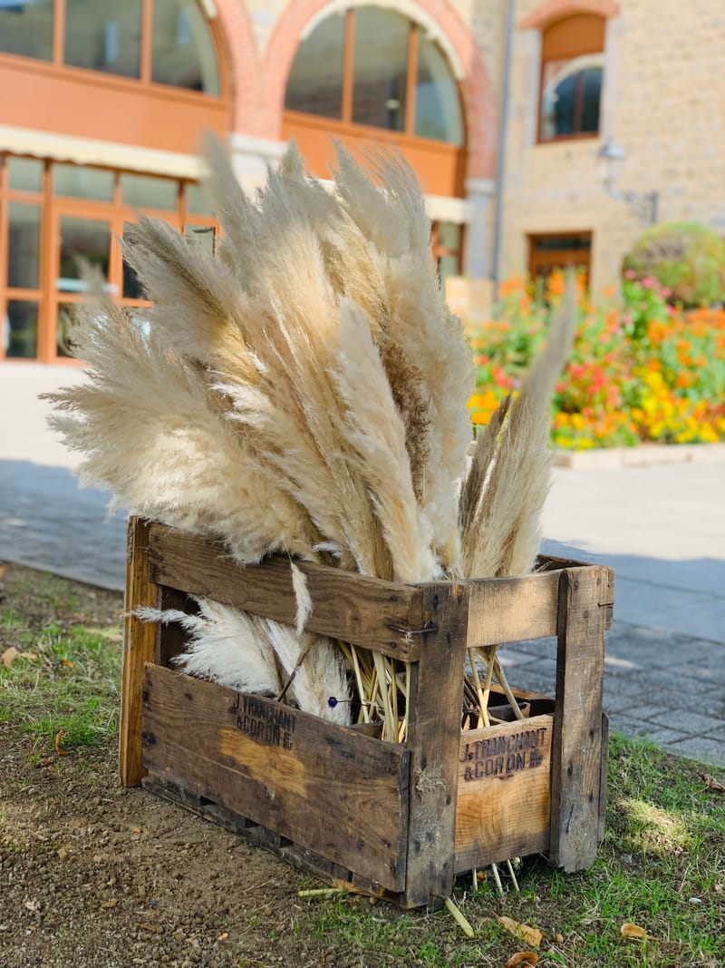 Caisse casiers de vin