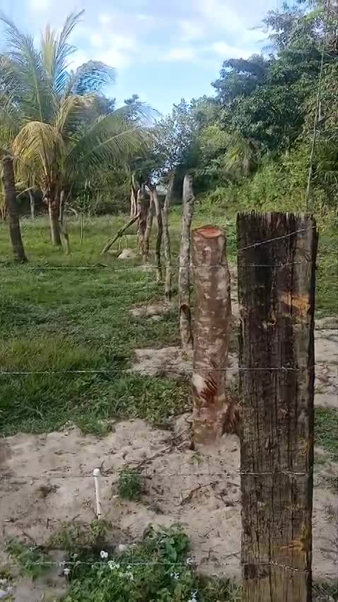 Two lots for sale in Colonia Brisas Del Mar, Balfate, Colon, Honduras