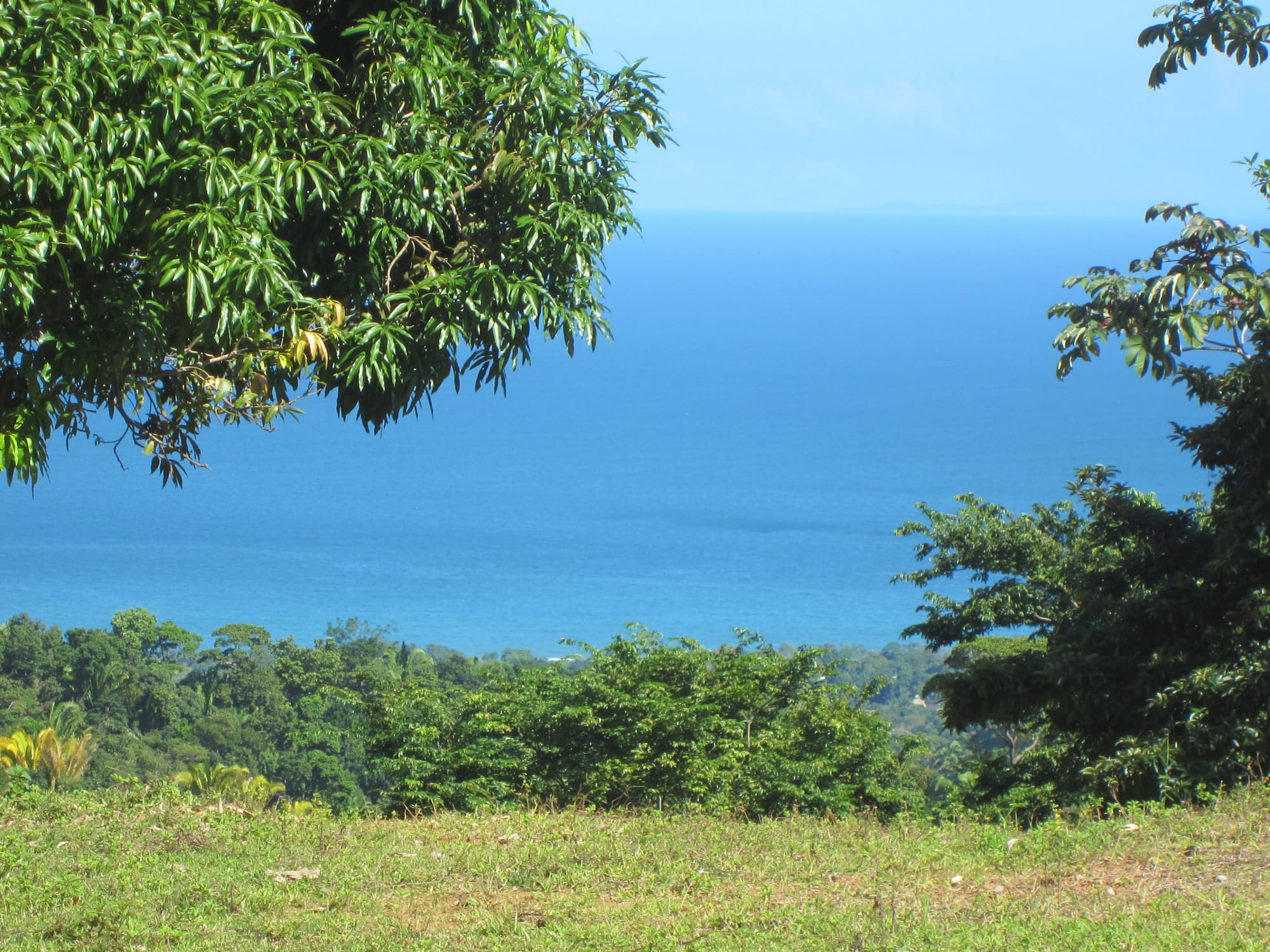 Lower plateau with Caribbean view, Rancho Vista Del Mar
