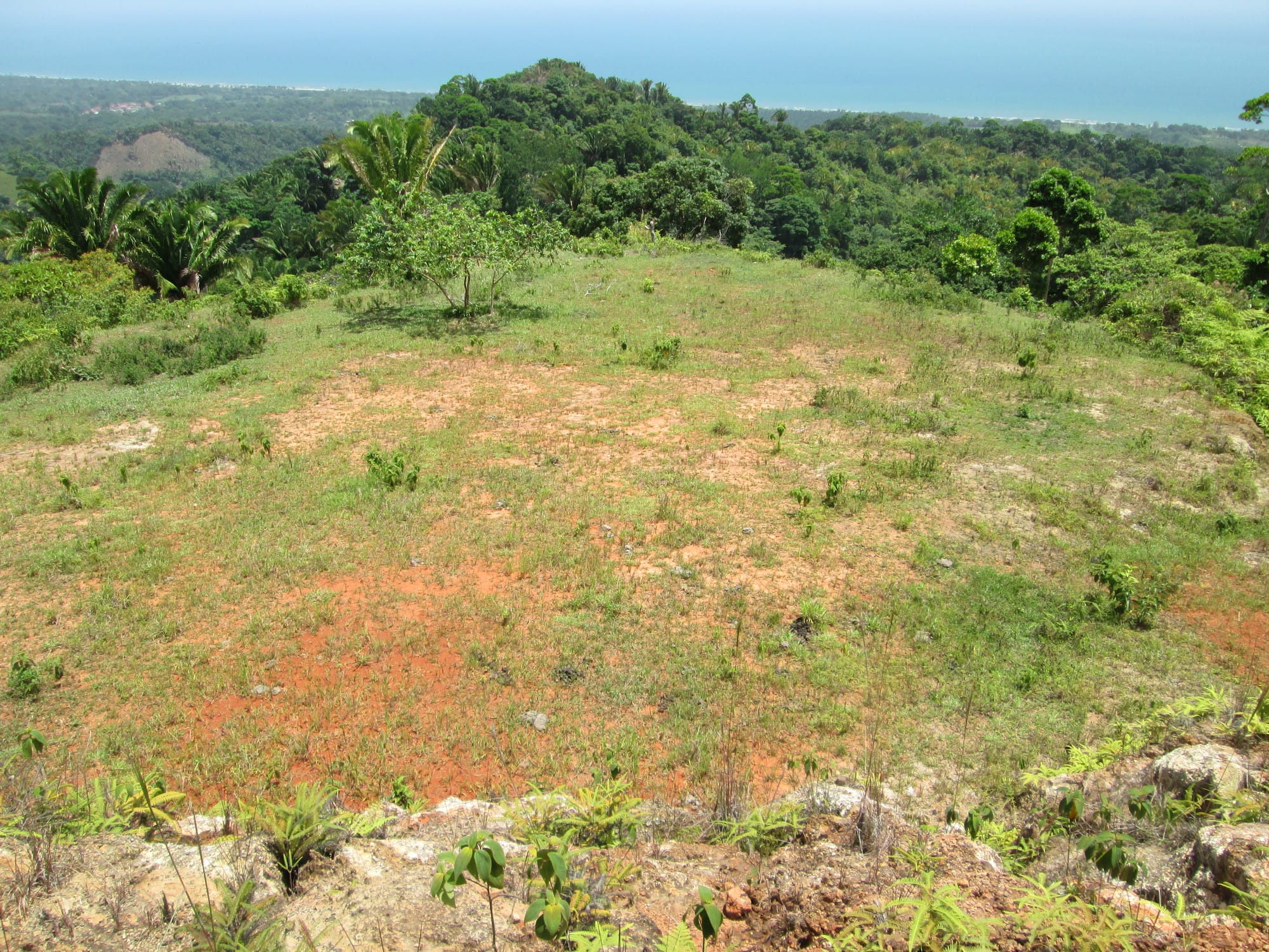 Large upper plateau, Rancho Vista Del Mar, La Ceiba, Atlantida, Honduras
