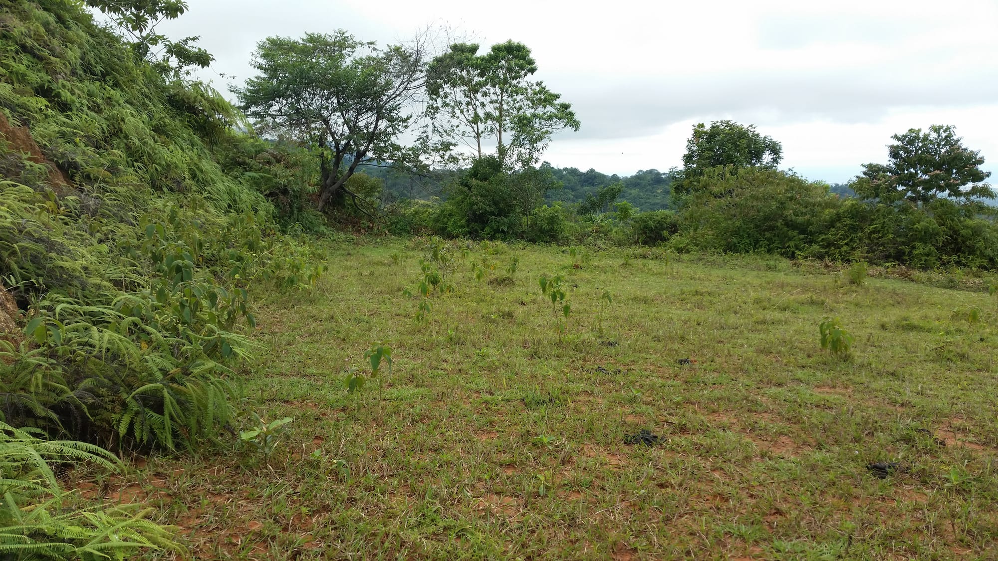 Middle Plateau with coastal view Rancho Vista Del Mar