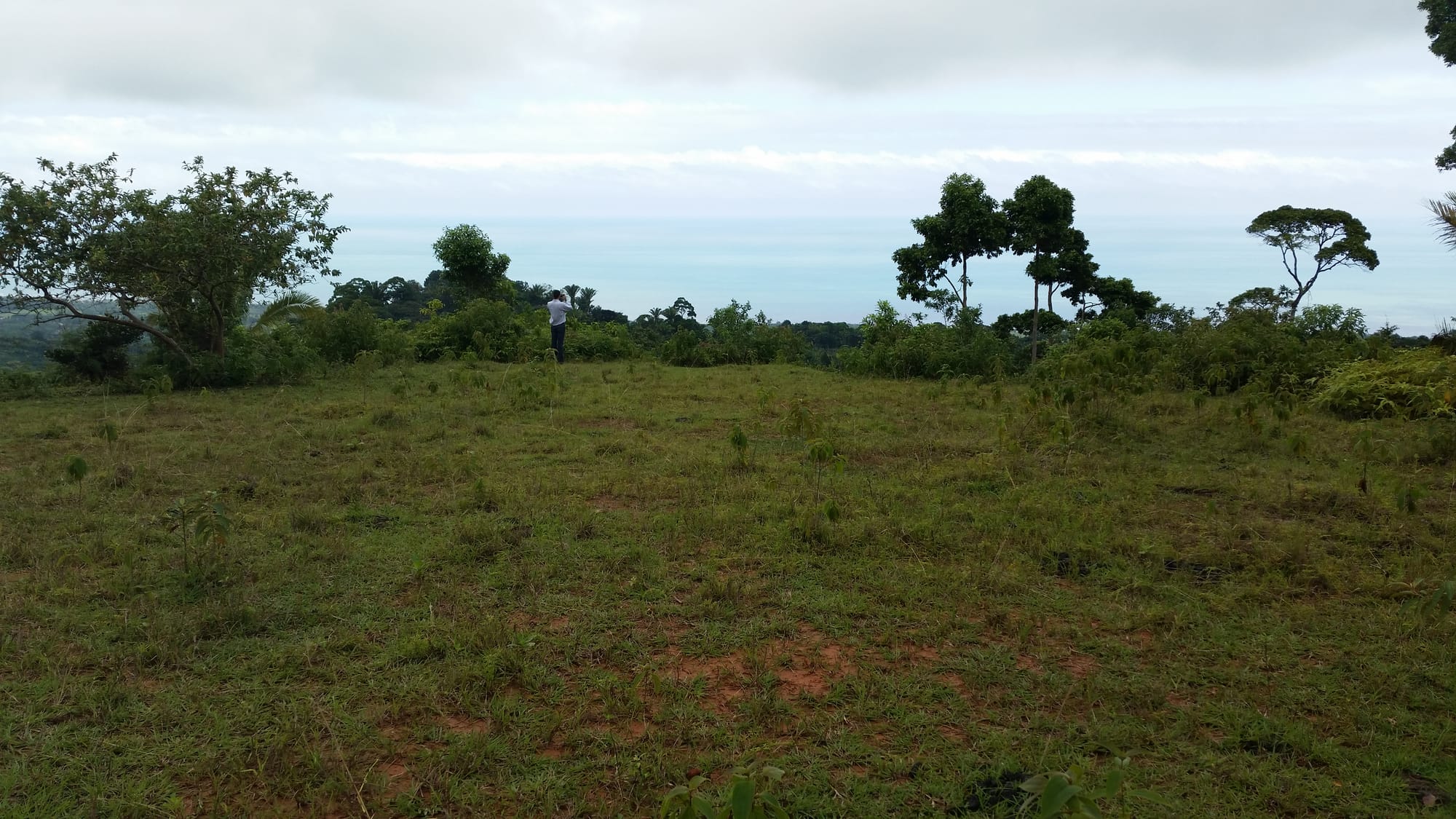 View from the middle plateau, Rancho Vista De Mar