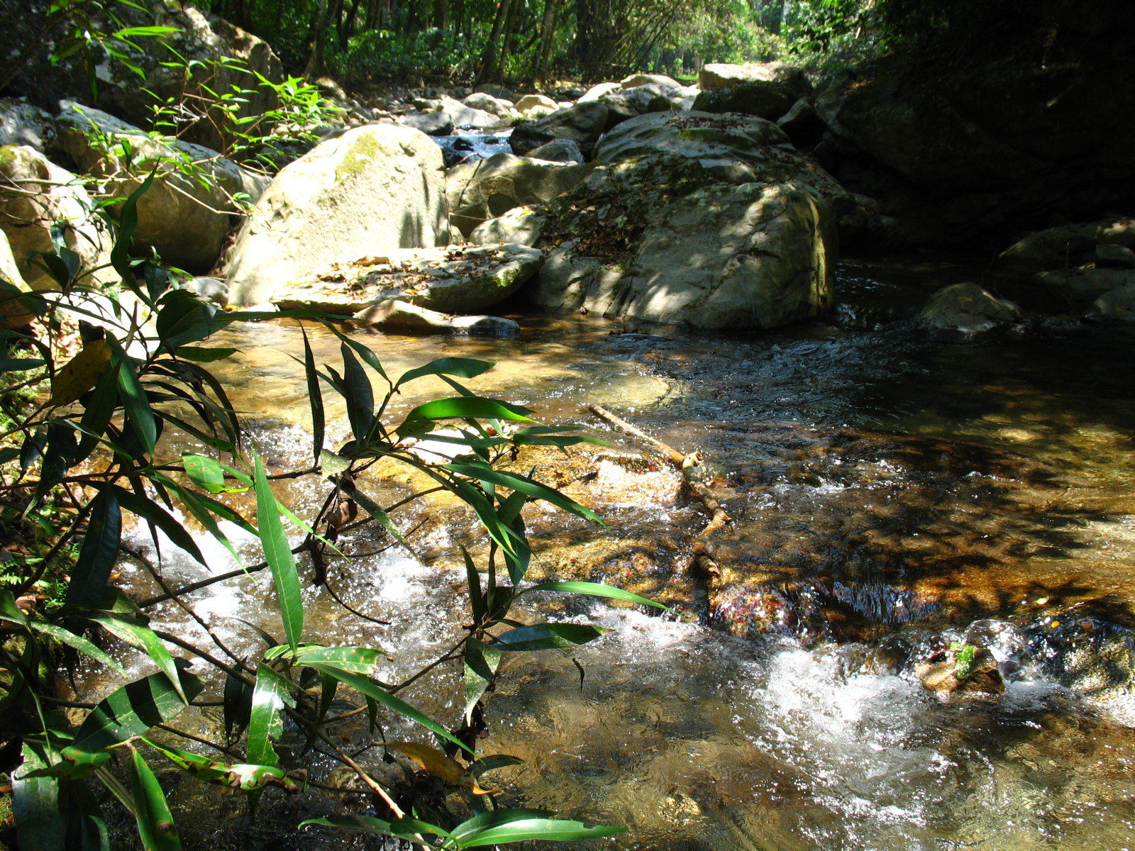 Creek on Rancho Vista Del Mar