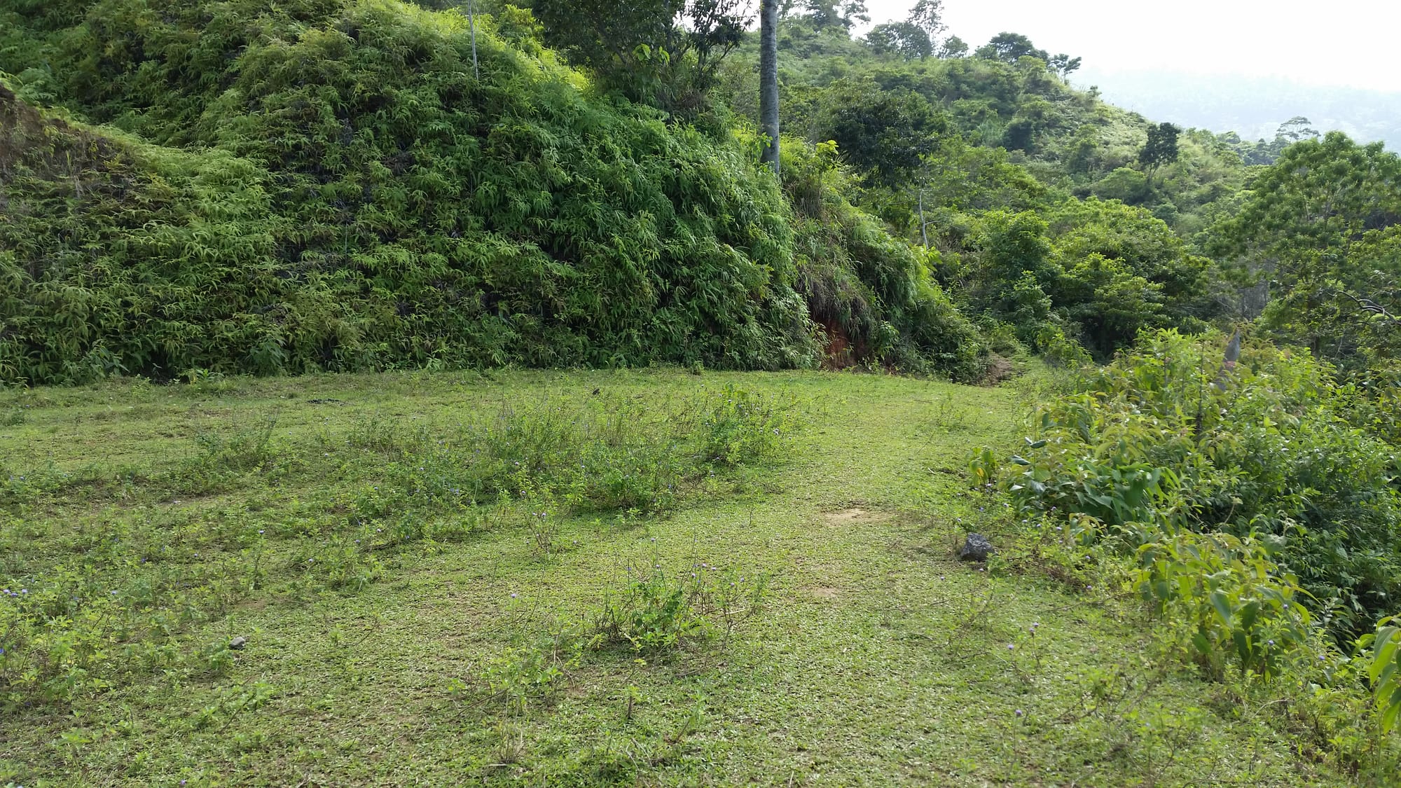 Middle Plateau with Northern view, Rancho Vista Del Mar