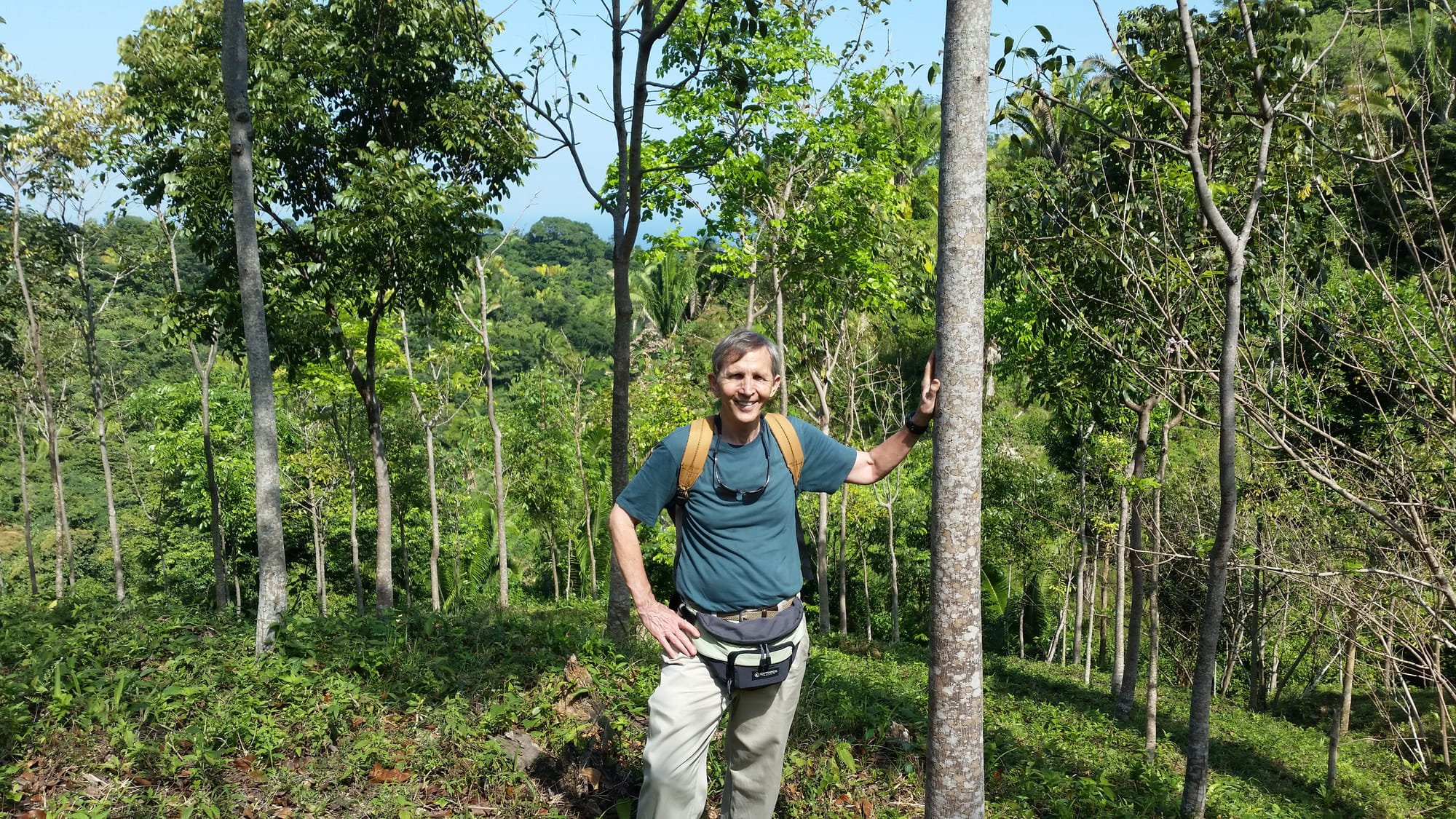 Property owner with young mahogany trees, 2015