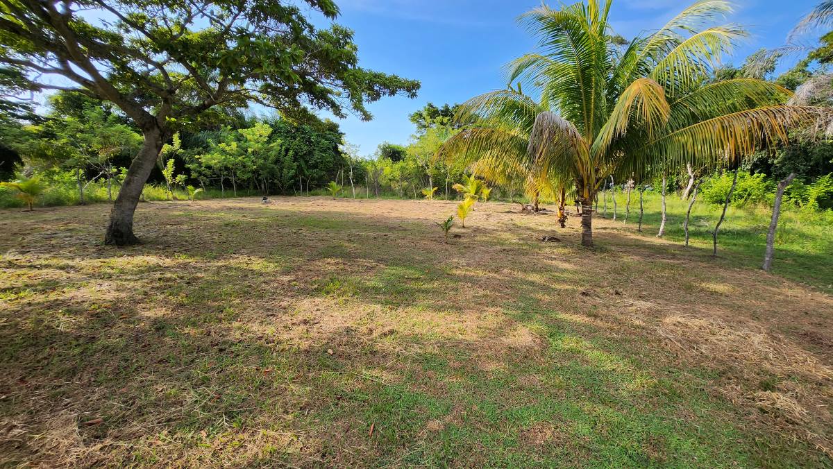 The two lots for sale, just 90 yards from beautiful Balfate Beach