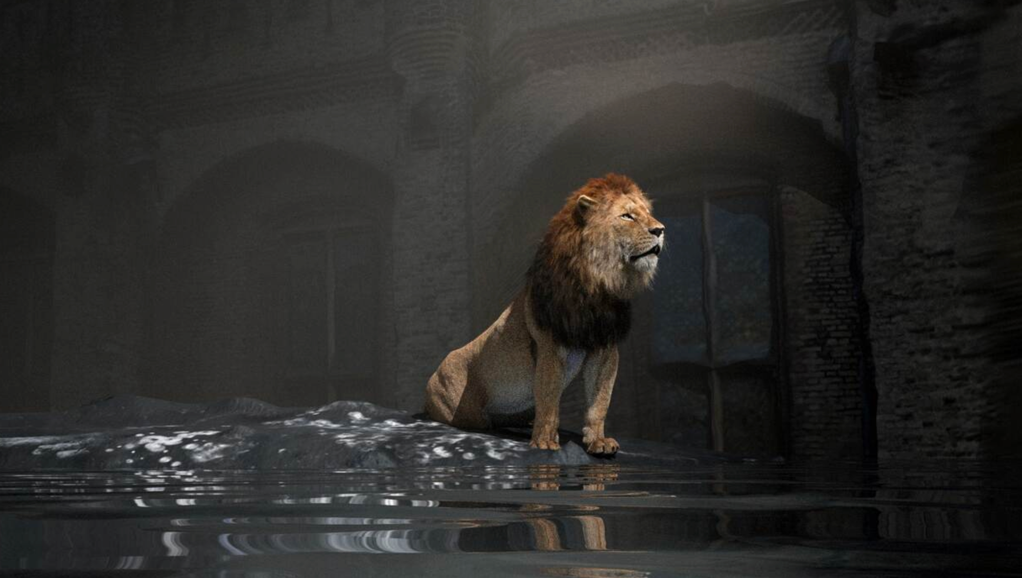 Het Hof van de Leeuw