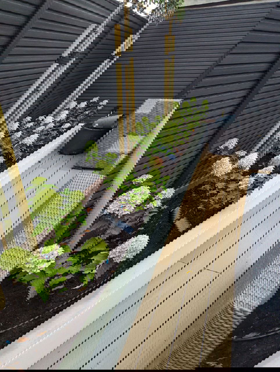 Aanleg van een nieuwe tuin