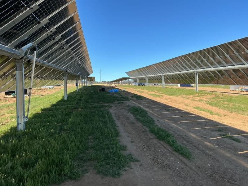 10MW Montaje modulos  y estructura Trina Tracker 