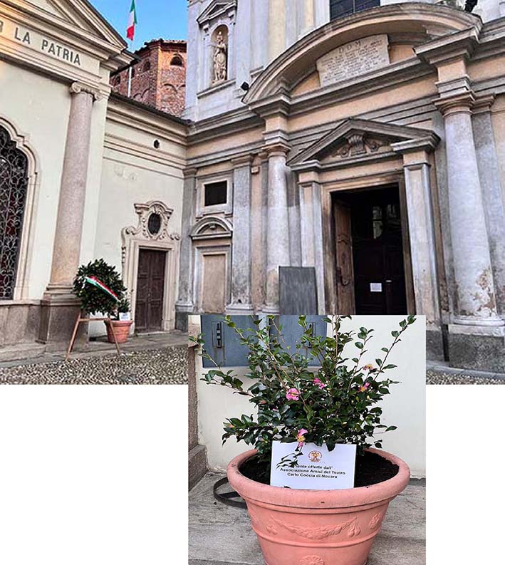 Piante sostituite davanti alla chiesa di San Giovanni Decollato dall'Associazione Amici del Teatro Carlo Coccia di Novara A.P.S.