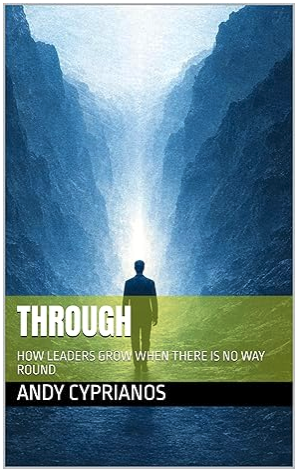 Through: The Storm Is Not Your Enemy. The Avoidance Is.