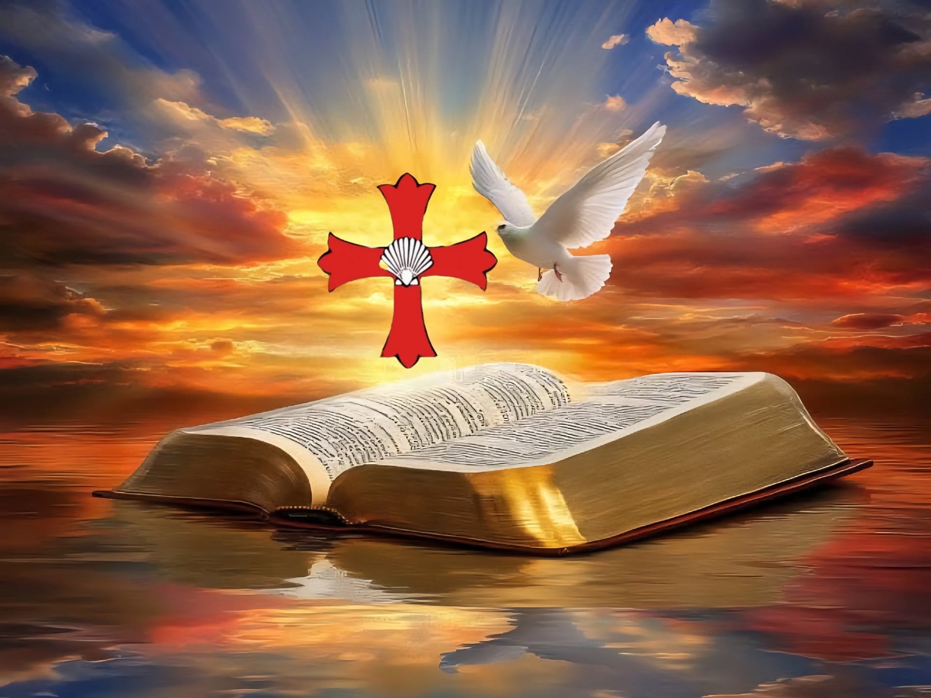 the Bible
