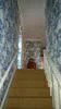 Wallpaper Installations