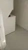 Interior Painting & repairs