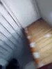 Yachts wallpaper installations & repair