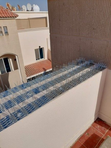 تركيب طارد الحمام