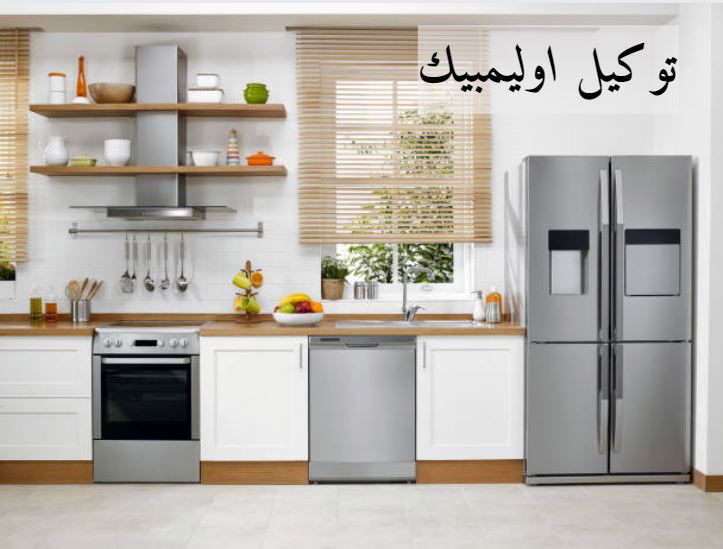 فروع اوليمبيك اليكتريك الإسكندرية