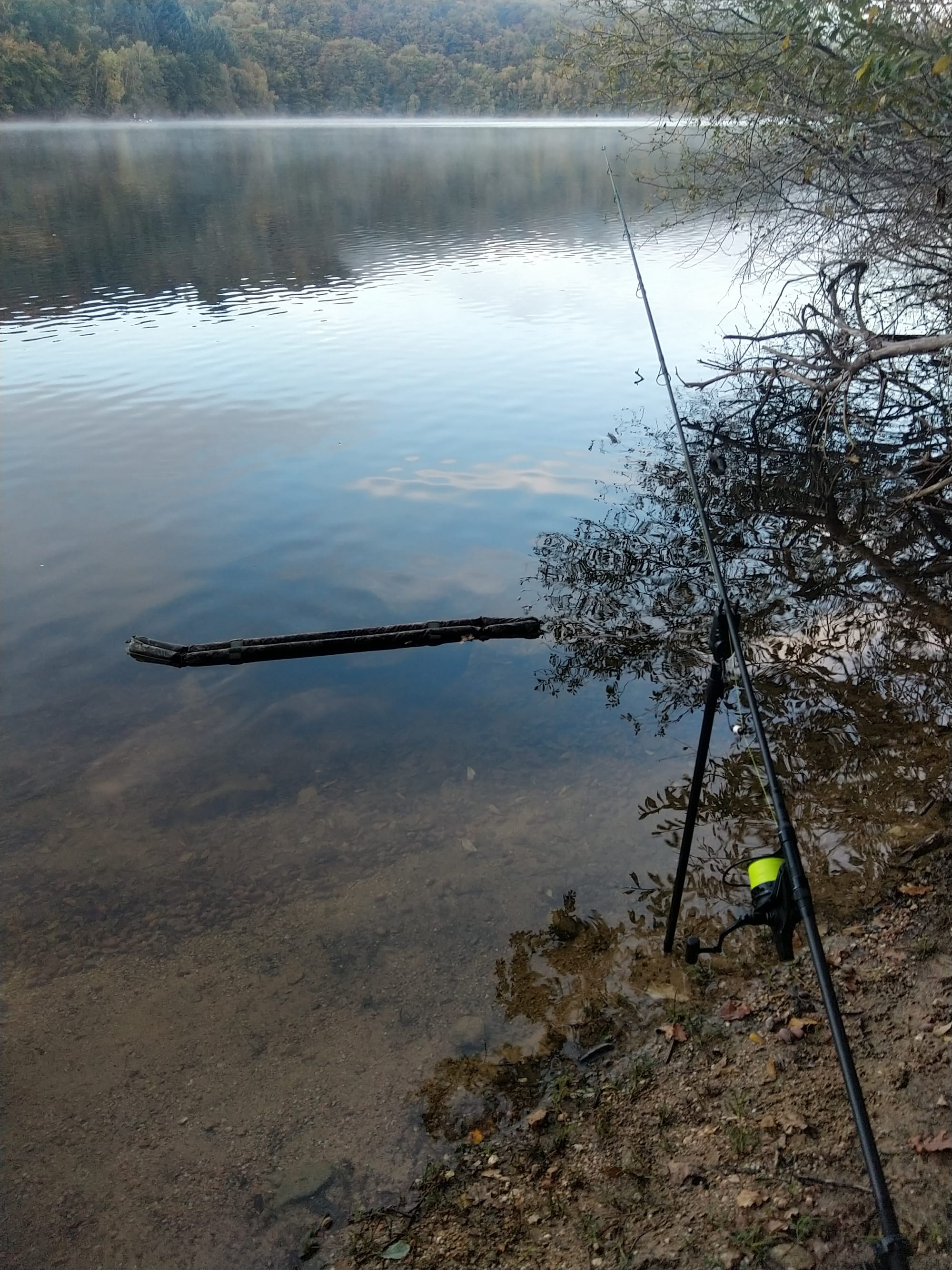 Initiation pêche à la carpe