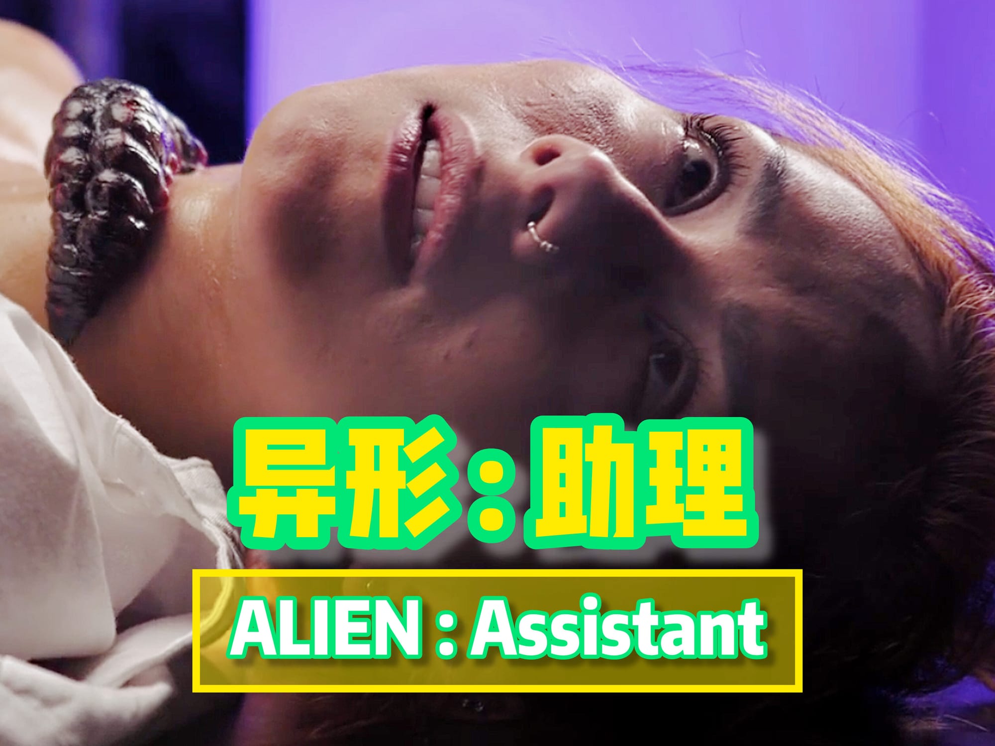 异形 : 助理