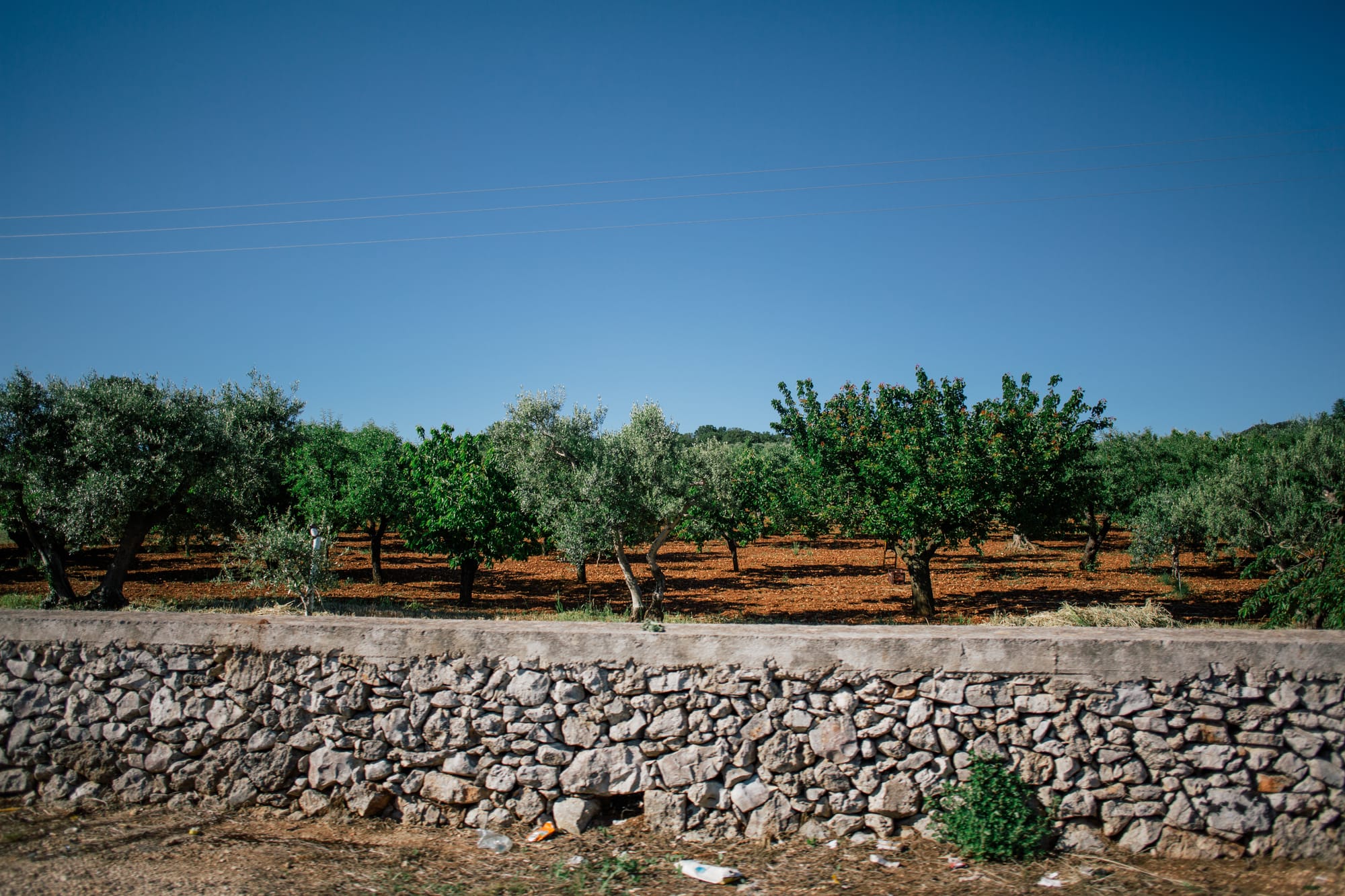 Routine di Bellezza Autunnale con Prodotti Puglia-Farm
