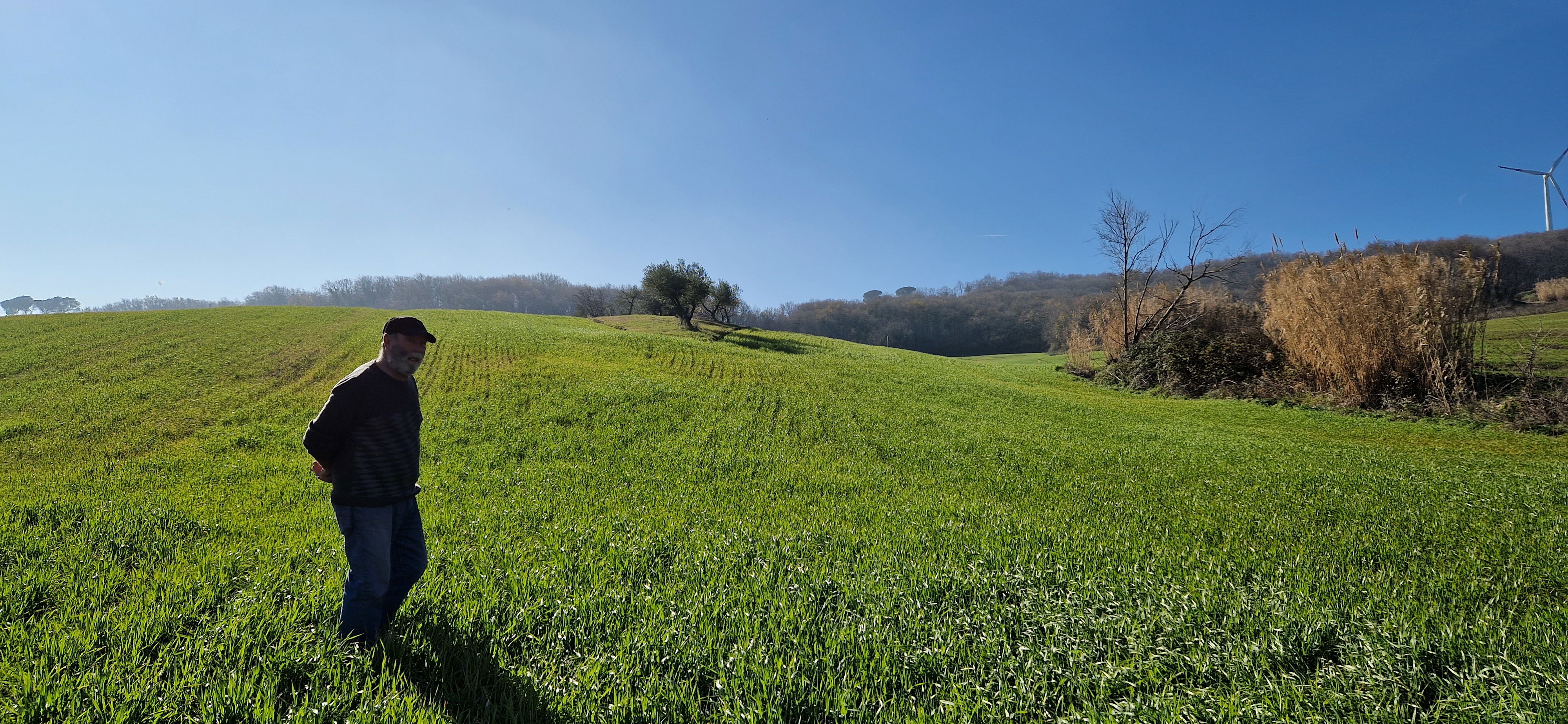 puglia-farm comunicato stampa