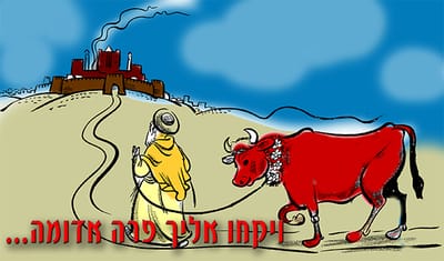 פָּרָשַׁת חֻקַּת - פָּרָה אֲדֻמָּה - מְחוֹקֶקֶת בָּנוּ אֶת הַיְּדִיעָה כִּי גַּם אִם מִצְוָה אֵינָהּ מוּבֶנֶת לָנוּ כְּמִצְוַת פָּרָה אֲדֻמָּה, עָלֵינוּ לְקַיְּמָהּ בִּתְמִימוּת וְיֹשֶׁר, כִּי כָּכָה הַשֵּׁם רוֹצֶה.