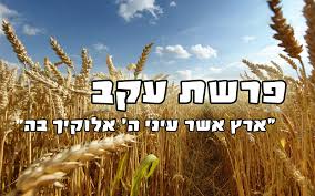 פָּרָשַׁת 'עֵקֶב' - מִן הֶעָקֵב שֶׁבַּתַּחְתִּית אֶל ה יַעֲקֹב שֶׁבַּתַּגְלִית.