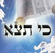 פָּרָשַׁת 'כִּי תֵּצֵא' - מֵעַצְמְךָ.