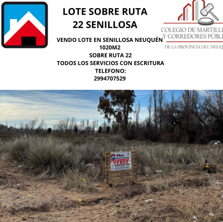 LOTE SOBRE RUTA 22 SENILLOSA NEUQUEN