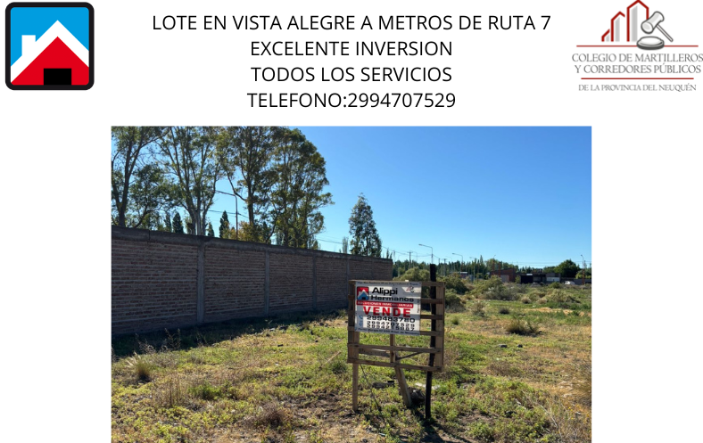 LOTE EN VISTA ALEGRE A METROS DE RUTA 7