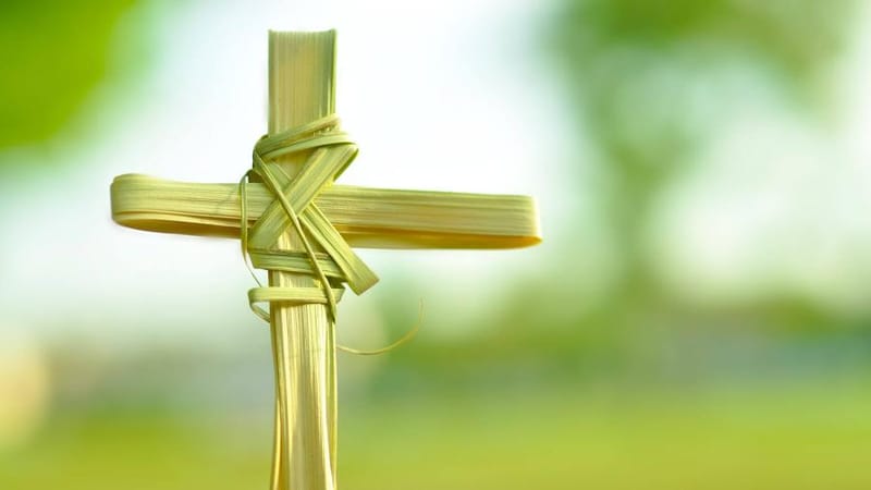 Palm Sunday, Holy Week and the Catholic Church