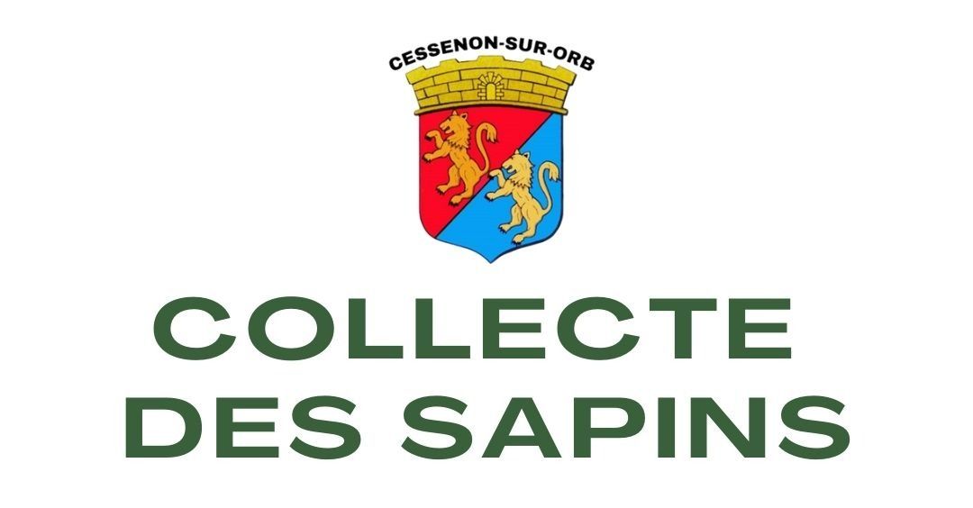 Collecte des sapins