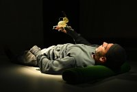 Minimus_D ┬® Fabrice Le╠üpissier