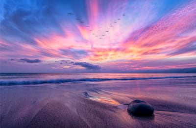 6. オンラインスクールで叶える自己成長の第一歩