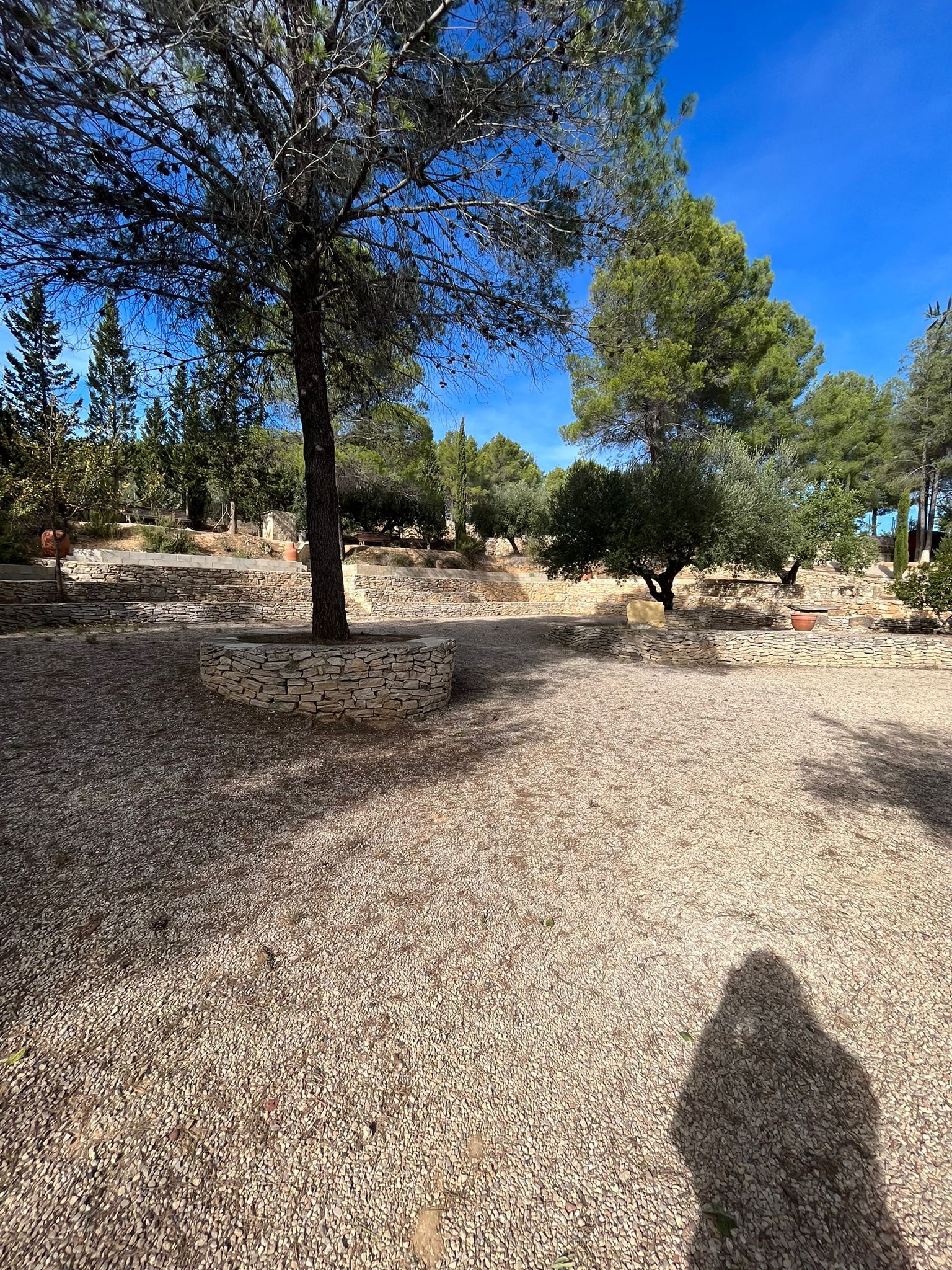 Zona de juegos 1