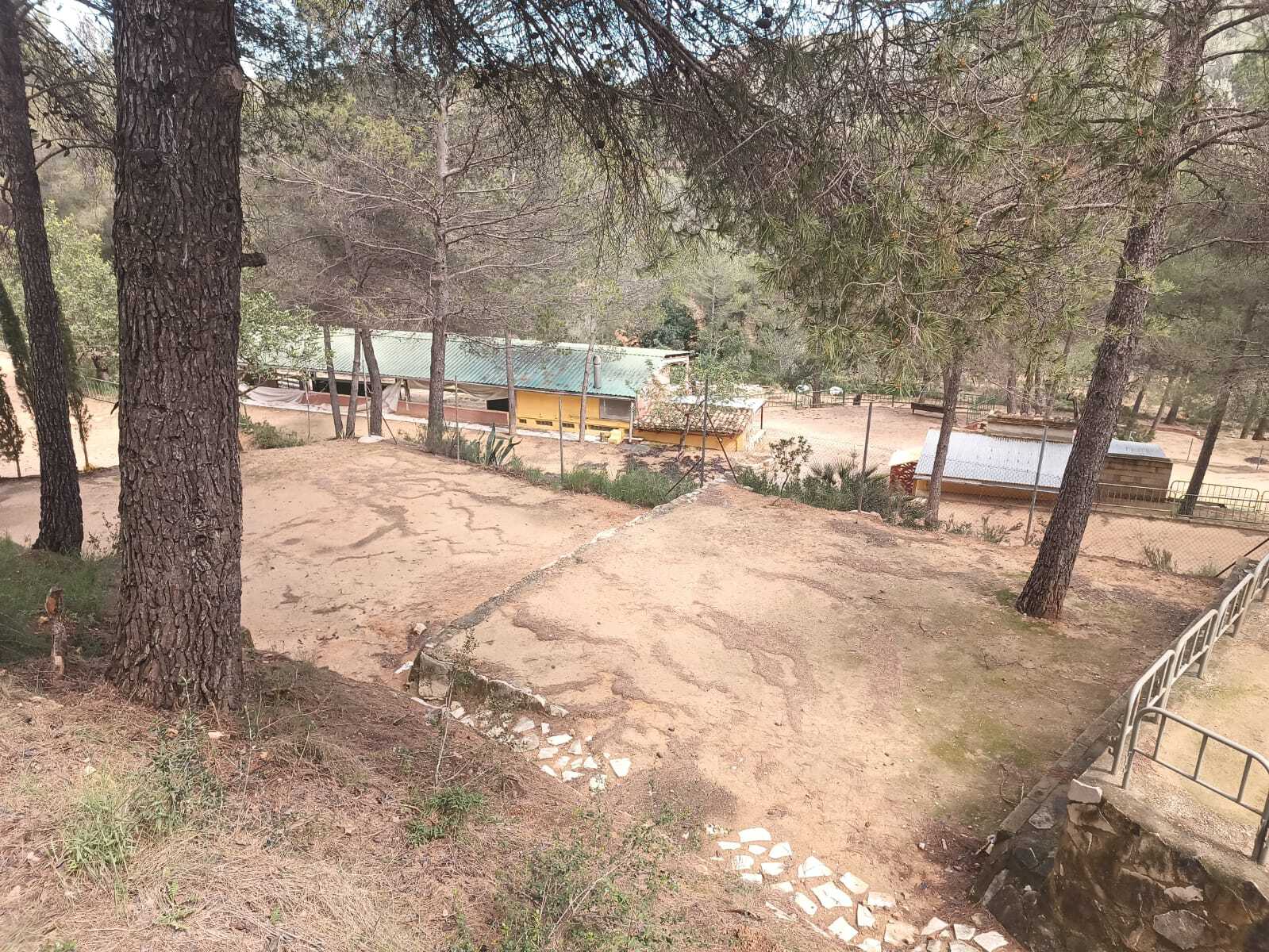 Zona de acampada 1