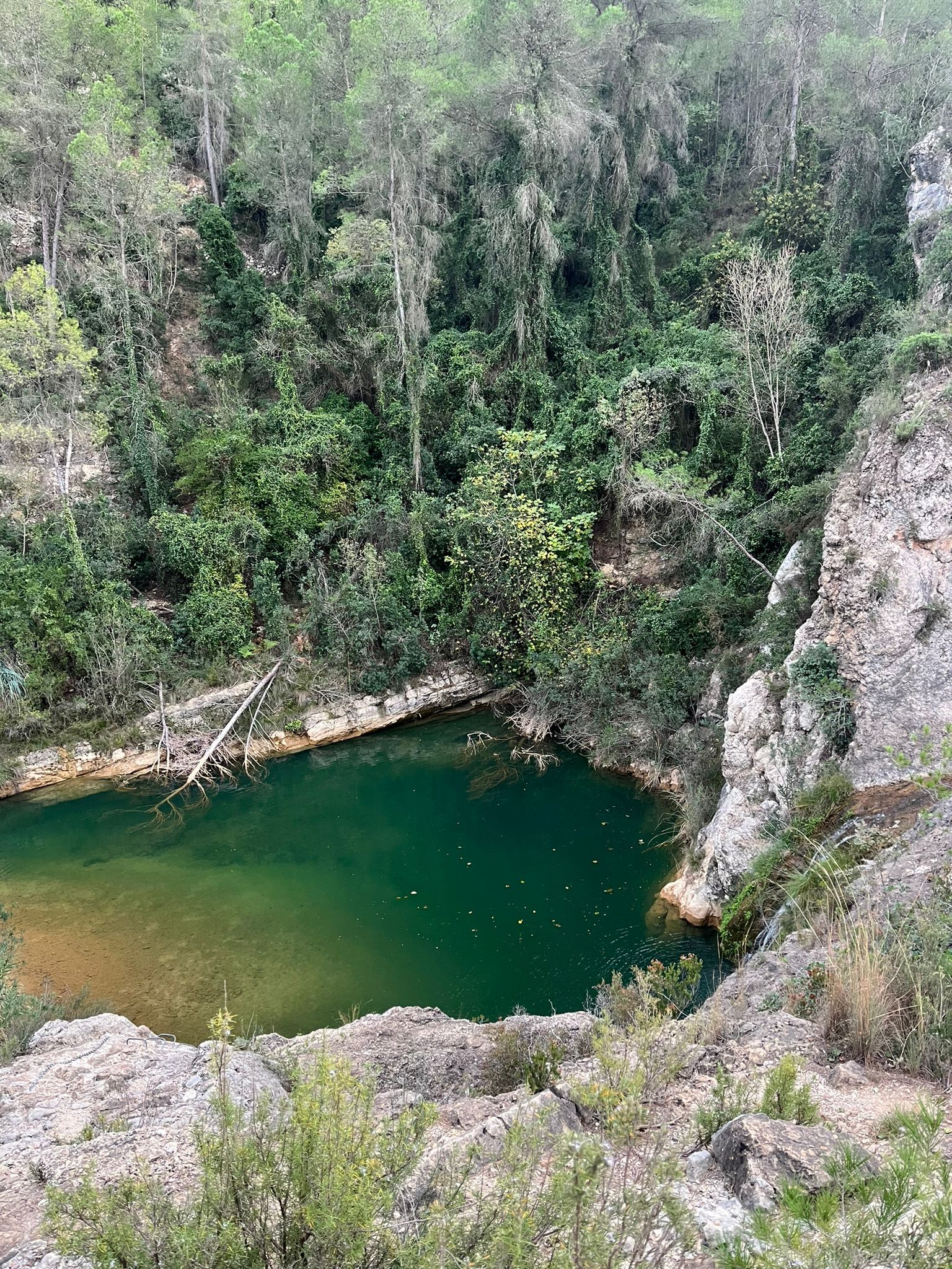 Zona de baño 4