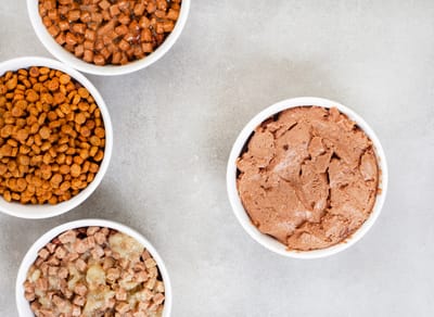 Wet vs. Dry vs. Mixed:What Should You Really Feed Your Cat?