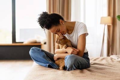 FIV and FeLV How to Tell The Difference.