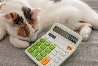 Is Data More About the Numbers and Less About the Animals?