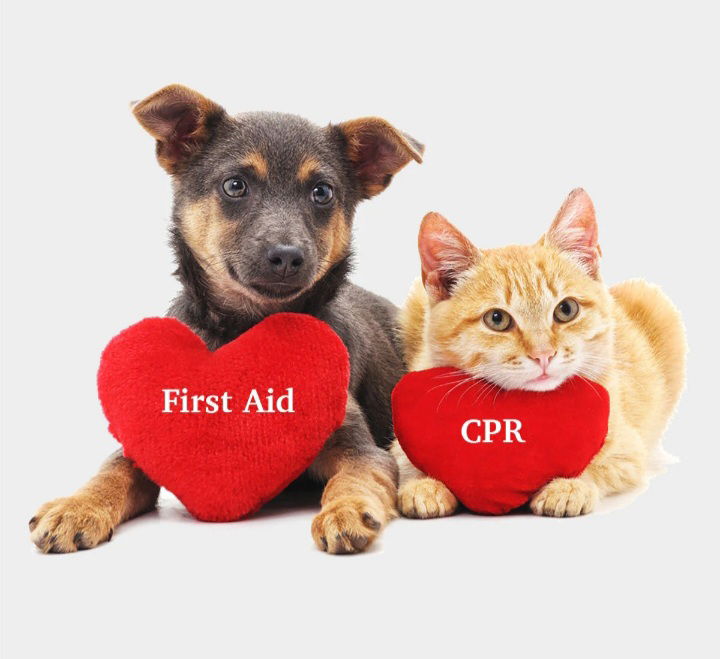 Pet CPR and First-Aid