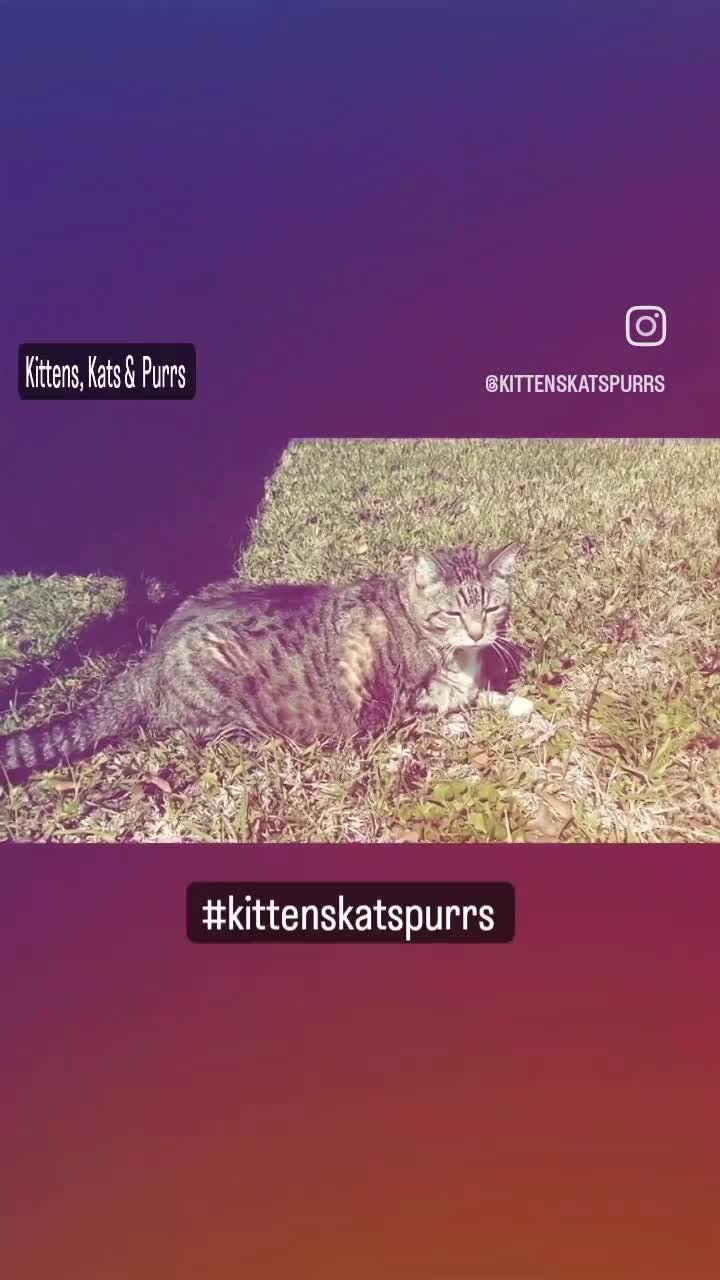 Professional Development  thumbnail