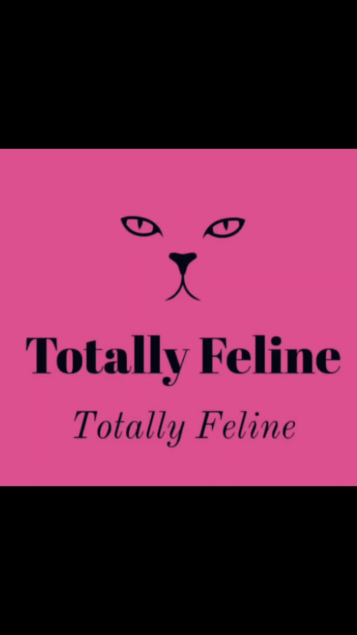 Lights, Camera & Cat-tion! thumbnail